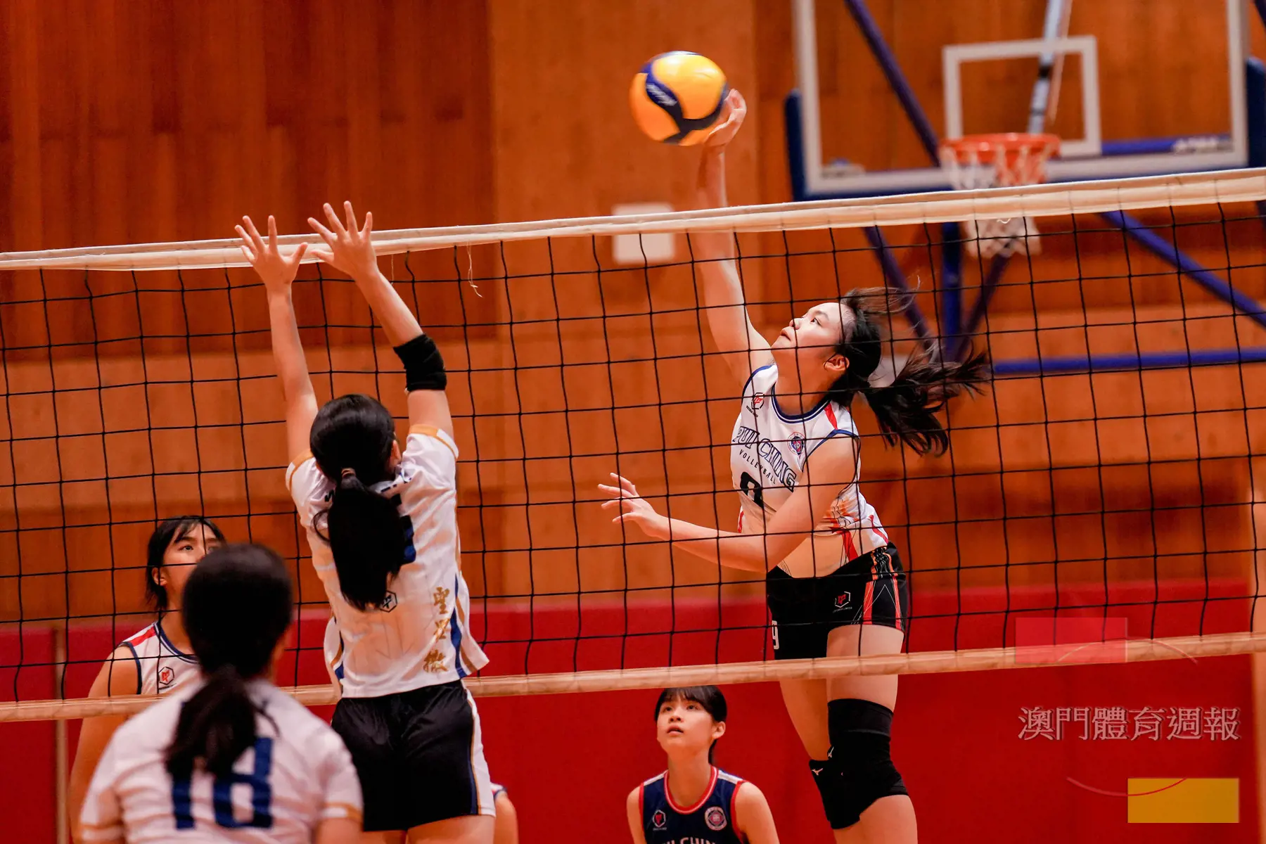 副3 李睿琪是培正女排一大火力來源.jpg